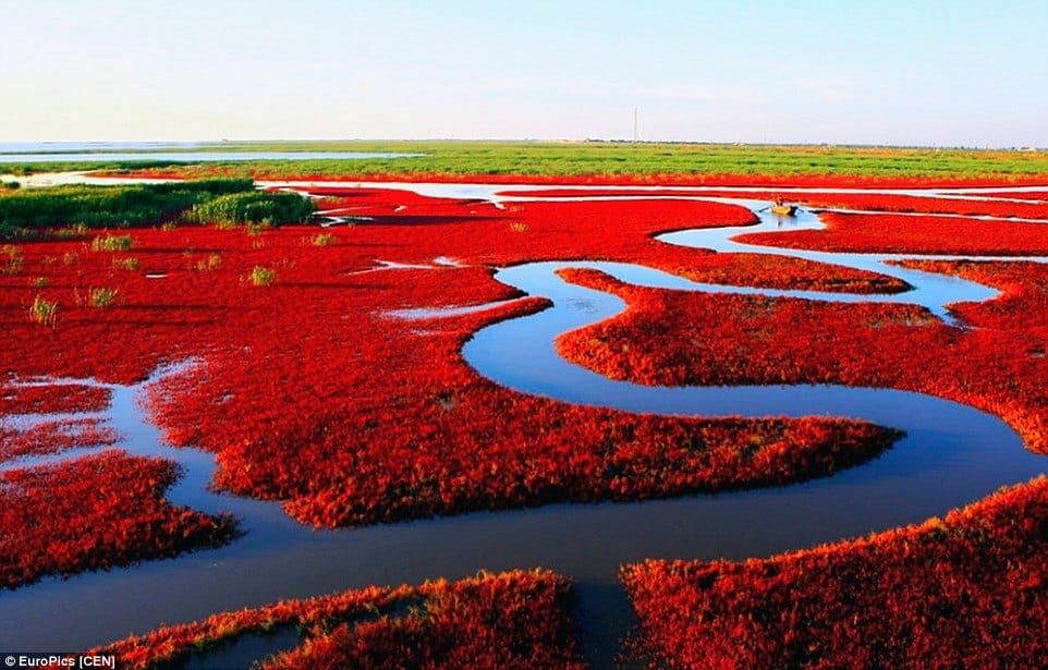 panjin beach china