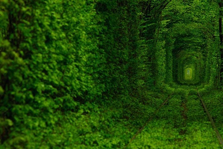 tunnel of love