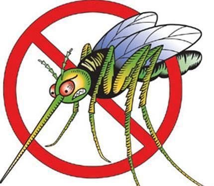 Keep Insects Away