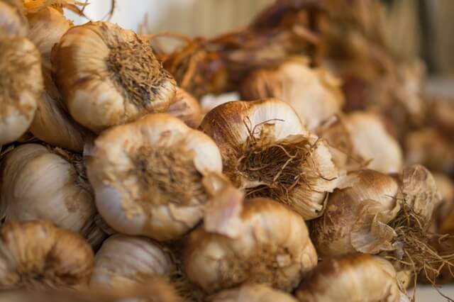 how to keep insects away: bring garlic