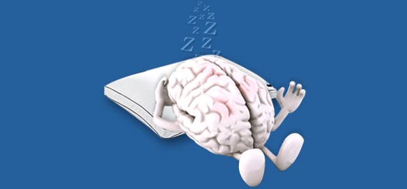 sleeping brain