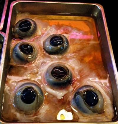 makanan unik - tuna-eyeballs1