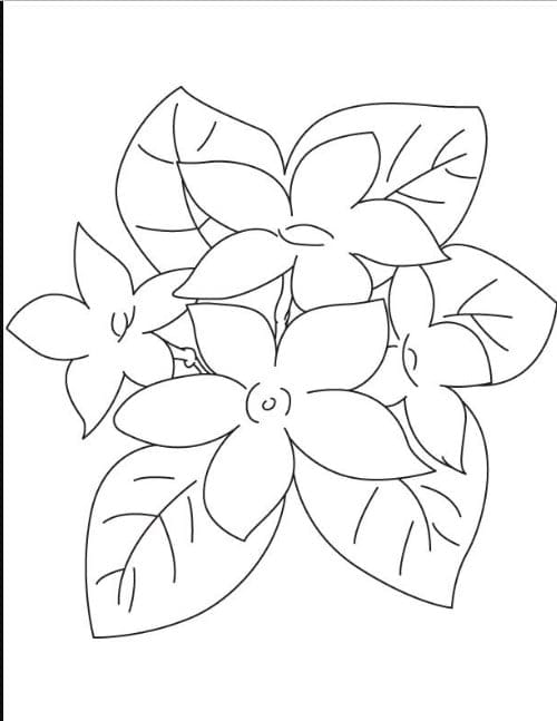sketsa bunga 5