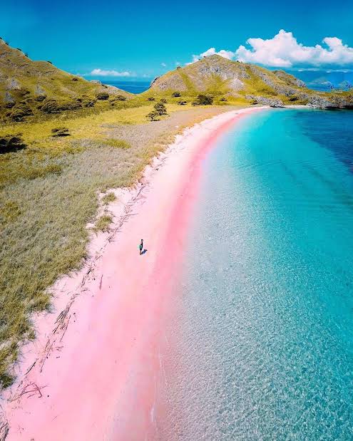 pantai-di-ntt-pantai-pink