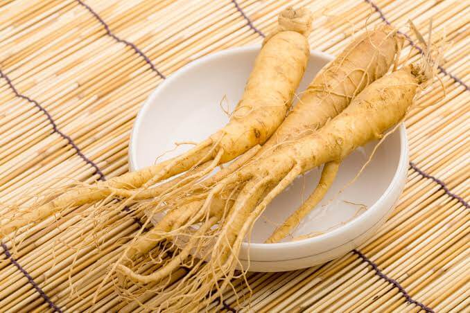 Oleh-Oleh-Khas-Korea-Ginseng