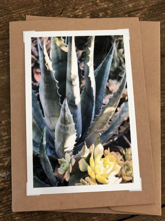 photo-notecard-04