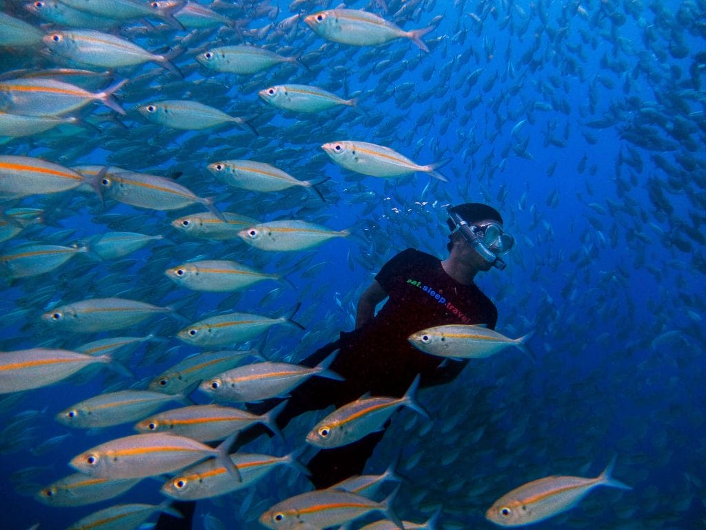 spot diving arborek raja ampat