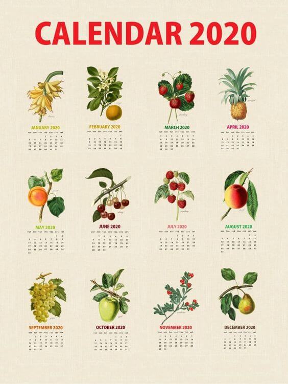 desain-kalender-buah-buahan