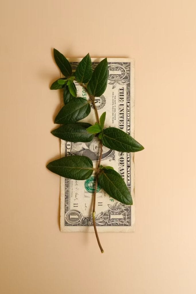 Langkah Praktis Menerapkan Mental Block Uang Dalam 7 Hari 3 Langkah Praktis Menerapkan Mental Block Uang Dalam 7 Hari 3